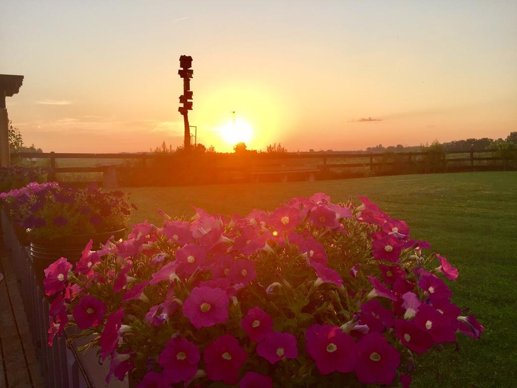 Serenity Ranch Bed & Breakfast Ancaster Εξωτερικό φωτογραφία